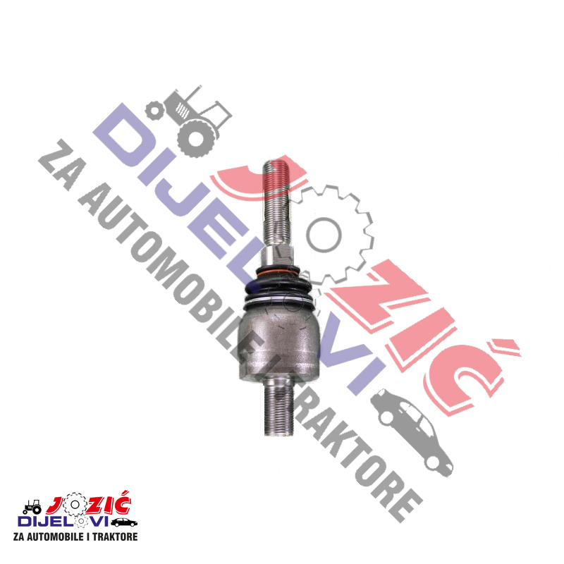 Daisy on the Ohoopee